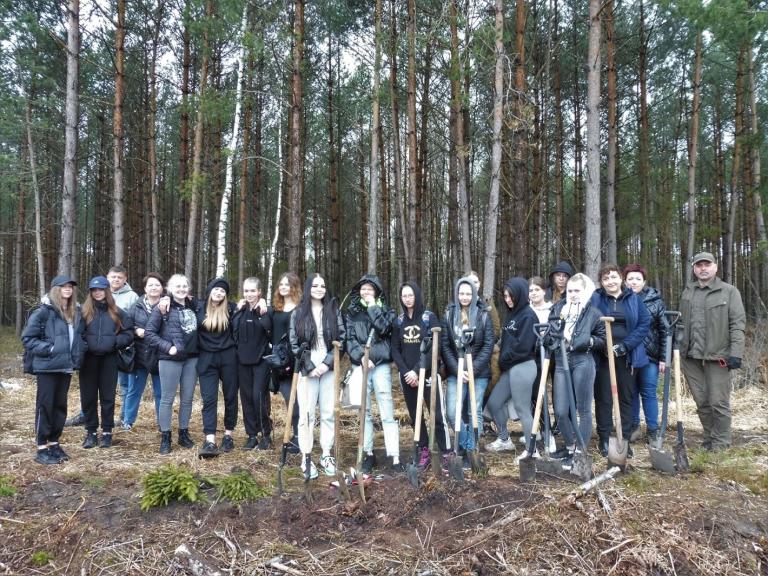 Ostrowski Hufiec Pracy odnawia las