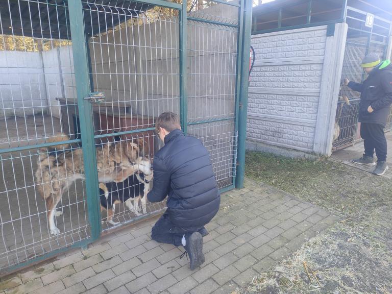 Zbiórka karmy dla czworonożnych przyjaciół w Hufcu Pracy w Białogardzie