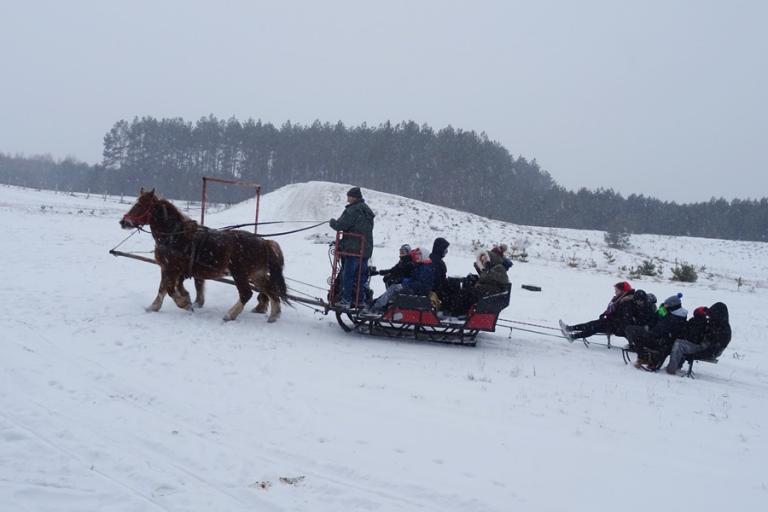 Zambrów: Z kopyta kulig rwie!