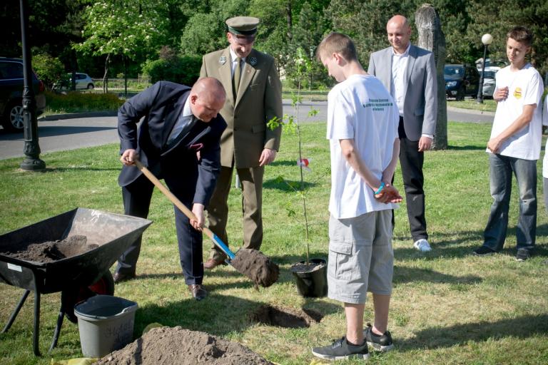 Dąb Niepodległości w Roskoszy