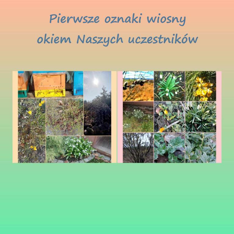 Akcja integracja w Kwidzynie