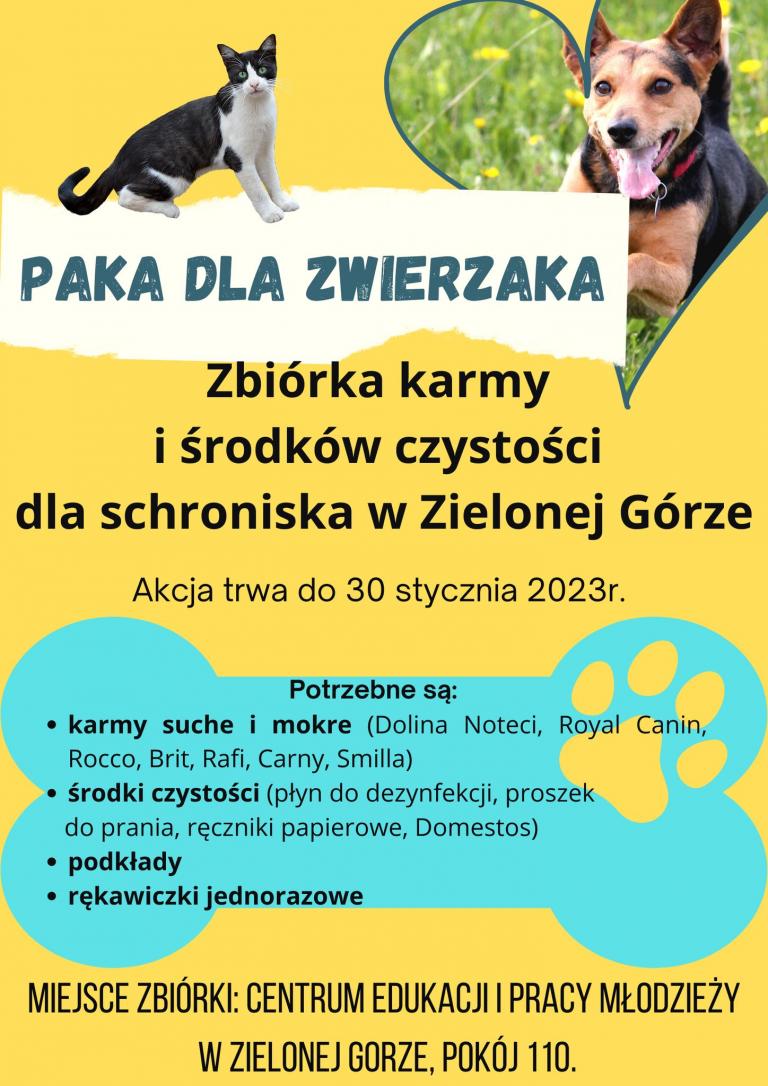 Paka dla zwierzaka w Zielonej Górze