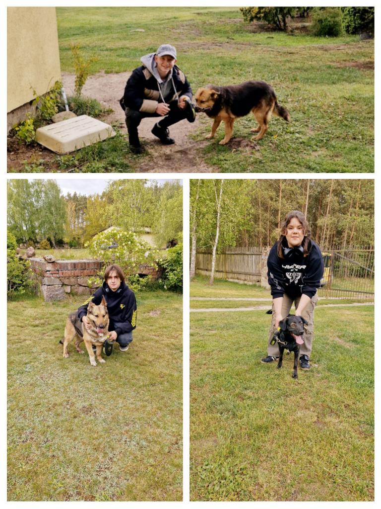 Wizyta w schronisku tymczasowym dla bezdomnych zwierząt w Człuchowie – tym razem zbiórka, nie karmy, a kochających domów