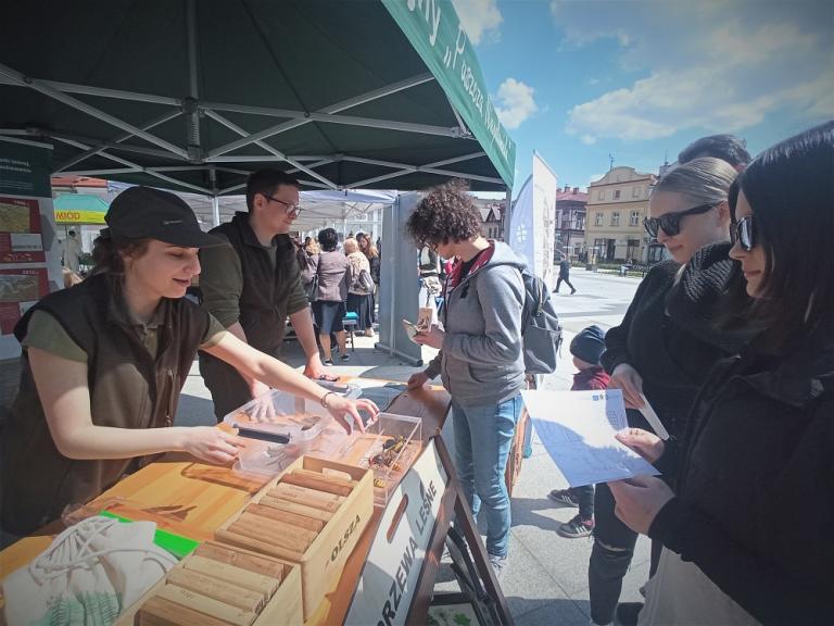 Uczestnicy bocheńskiego Hufca na pikniku ekologicznym