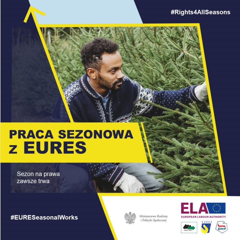 Prawa przez cały rok 