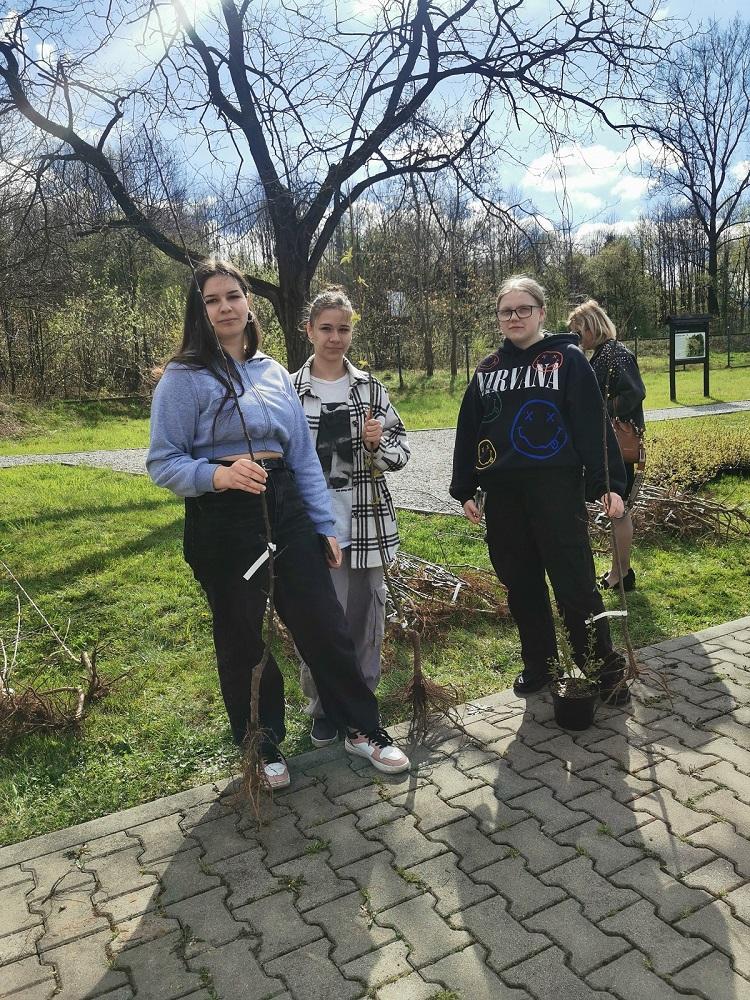 Udział w akcji organizowanej przez Nadleśnictwo Andrychów pn. „Drzewo dla klimatu” 