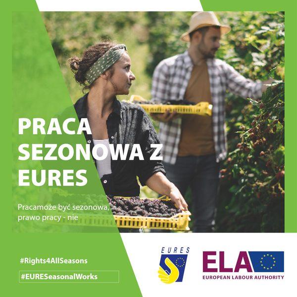 Kampania ws. pracy sezonowej Europejskiego Urzędu ds. Pracy w Polsce