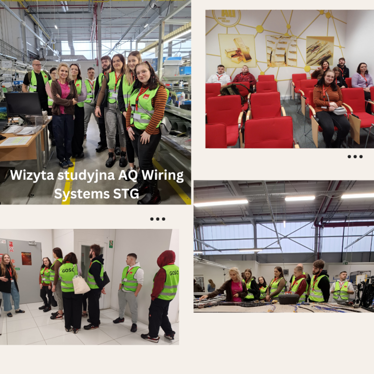 Wizyta studyjna w firmie AQ Wiring Systems STG Sp. z o.o.