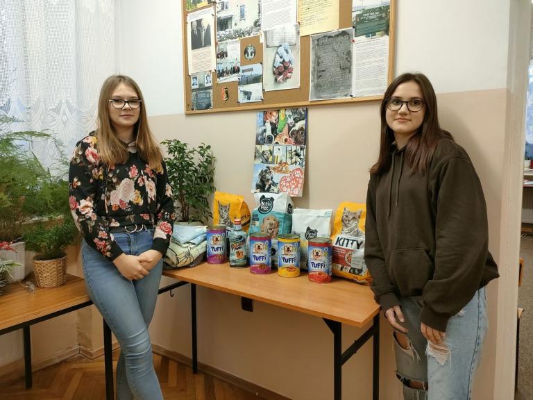 Z pomocą dla bezdomnych czworonogów