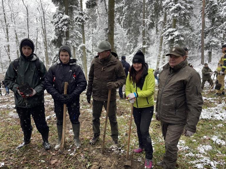 Las pamięci Jana Pawła II