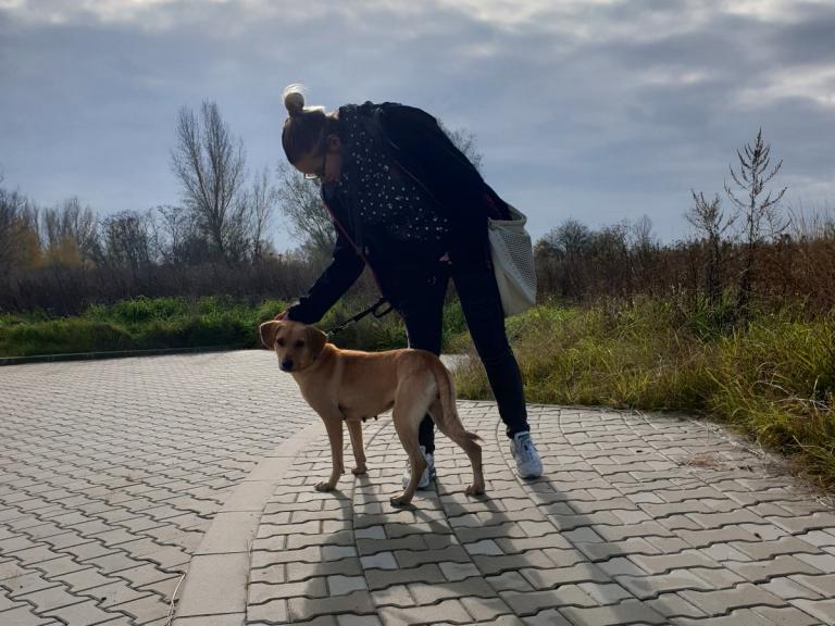 „PO PROSTU – PODAJ ŁAPĘ”. WARTO BYŁO!- WYWIAD Z JESSICĄ FUKS