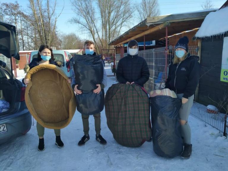 Pomagają bezdomnym zwierzętom