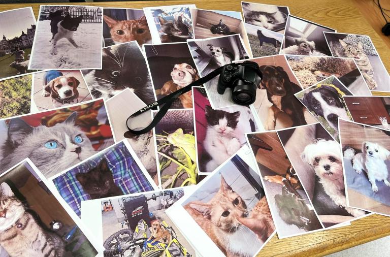 ,,Mój pupil w obiektywie’’ – konkurs fotograficzny w HP Nysa
