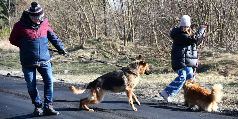 Radzyń Podlaski: młodzież pomaga w schronisku dla psów