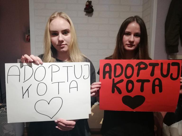 Światowy Dzień Kota