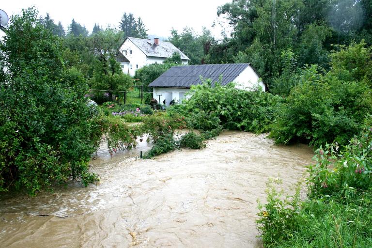 Z pomocą dla poszkodowanych