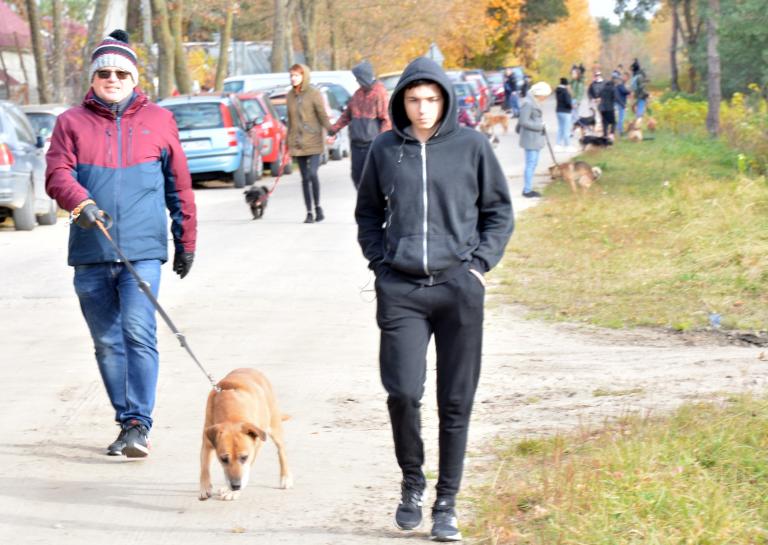 Radzyń Podlaski: Spacery z psami ze schroniska