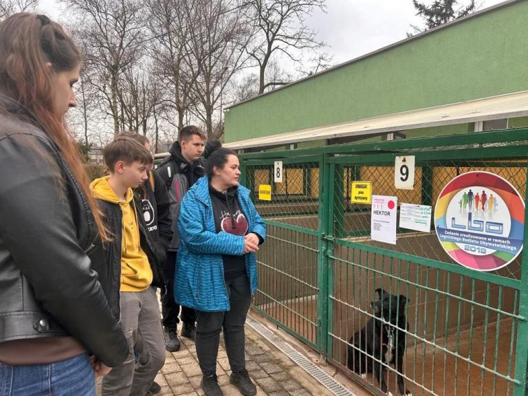 Wsparcie dla Schroniska dla Bezdomnych Zwierząt w Legnicy  