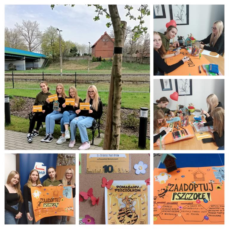 Adoptuj pszczołę!