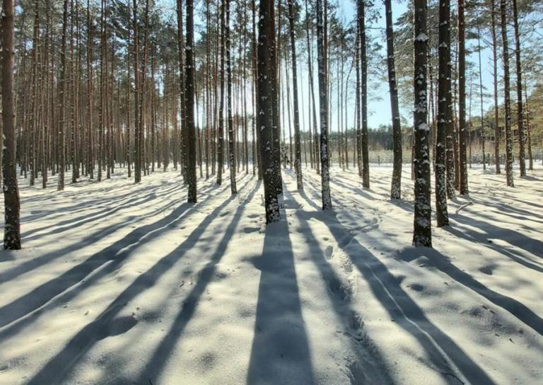 Zambrów: „Cztery pory roku - Zima w obiektywie”