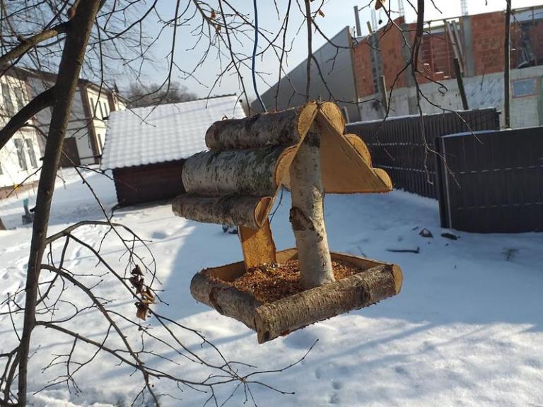 DOKARMIANY PTAKI ZIMĄ