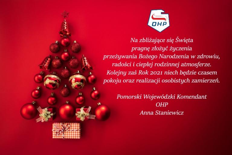 Wesołych Świąt !