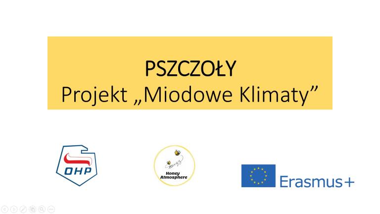 Projekt wymiany młodzieży 