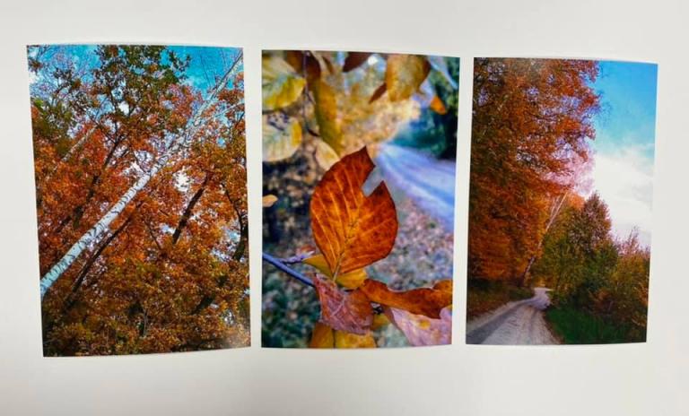 Konkurs fotograficzny i turniej gier stolikowych w 11-4 Hufcu Pracy w Starogardzie Gdańskim