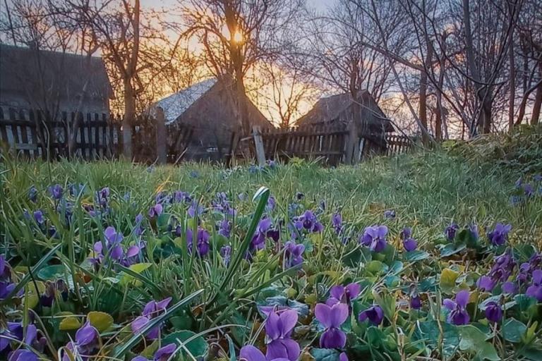 Łomża: „W poszukiwaniu wiosny” – Konkurs fotograficzny