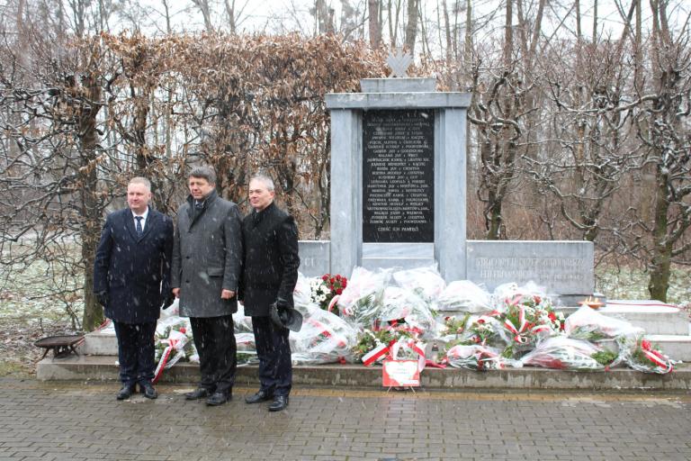 Uroczystości w Cieszynie