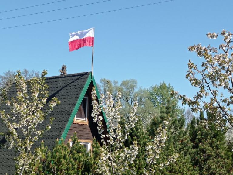Dzień Flagi Rzeczpospolitej  Polskiej  w 9-10 Hufcu Pracy w Krośnie
