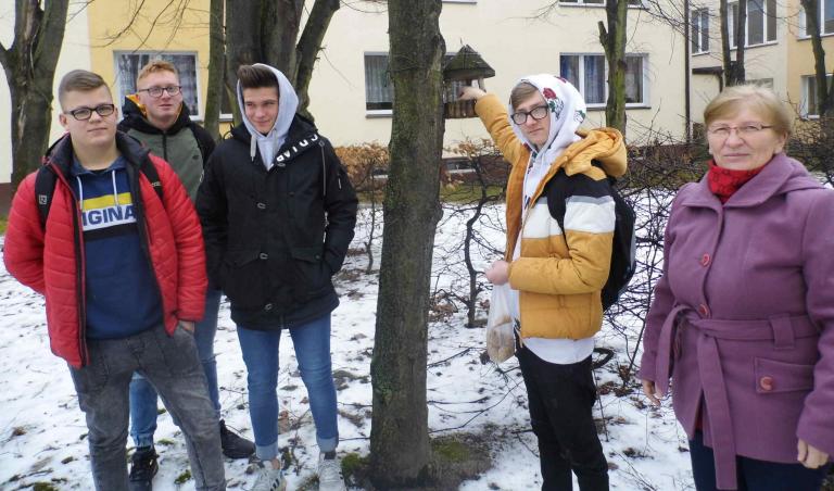 Dokarmianie ptaków zimą