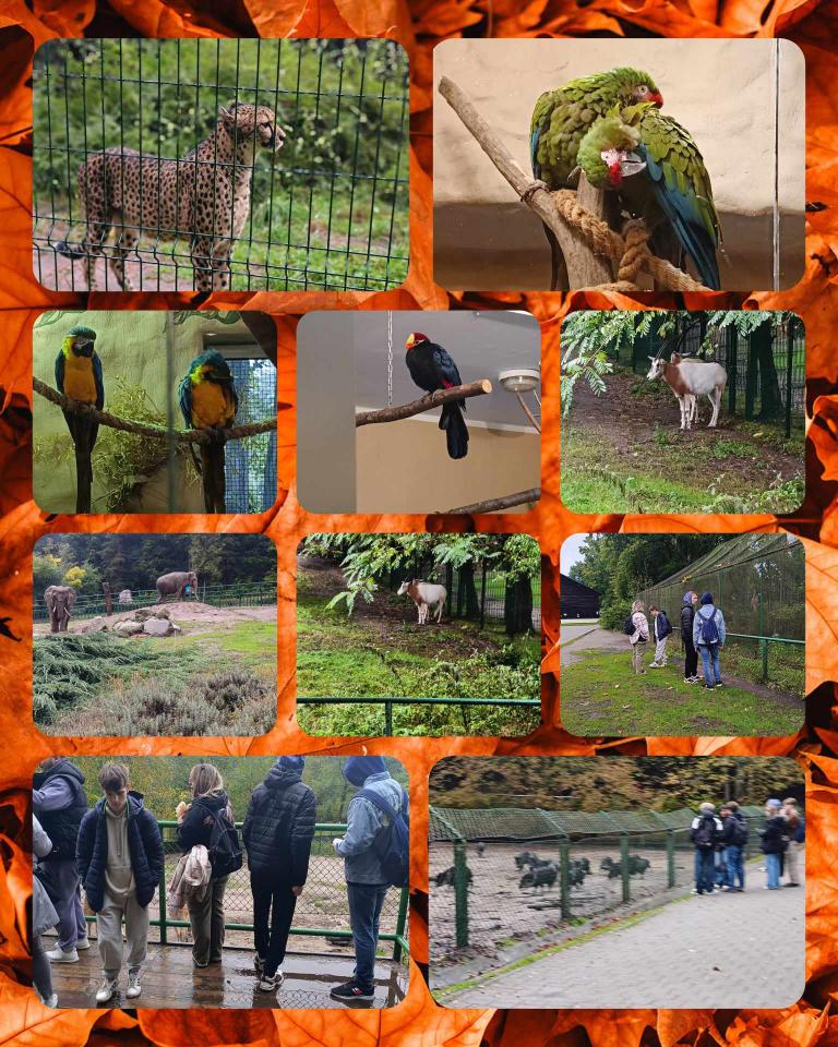 Wycieczka integracyjna do ZOO