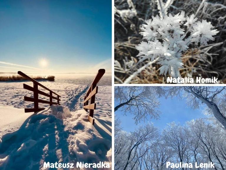 Zimowy artysta – wojewódzki konkurs fotograficzny rozstrzygnięty