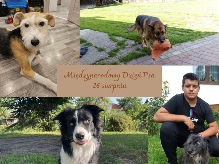 Międzynarodowy Dzień Psa w przemyskim Hufcu Pracy