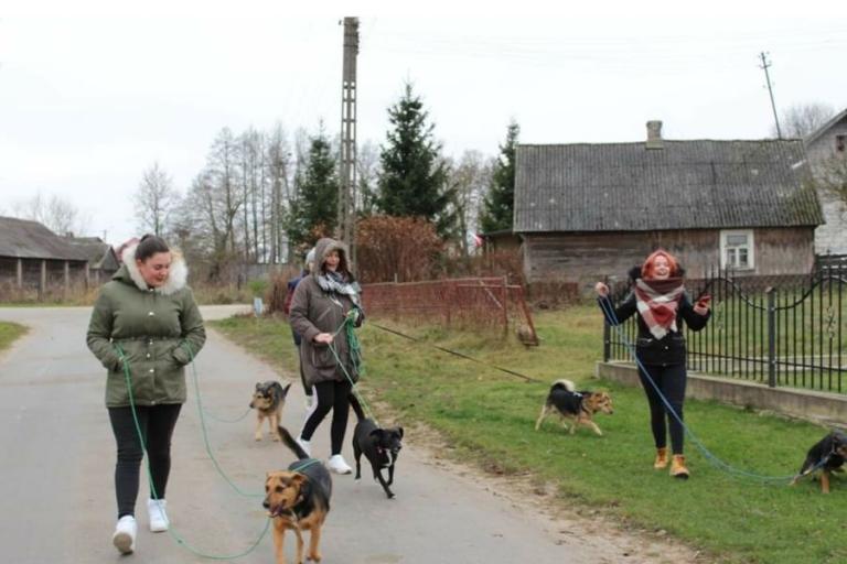 Zambrów: Spacer, cztery łapy i nie tylko