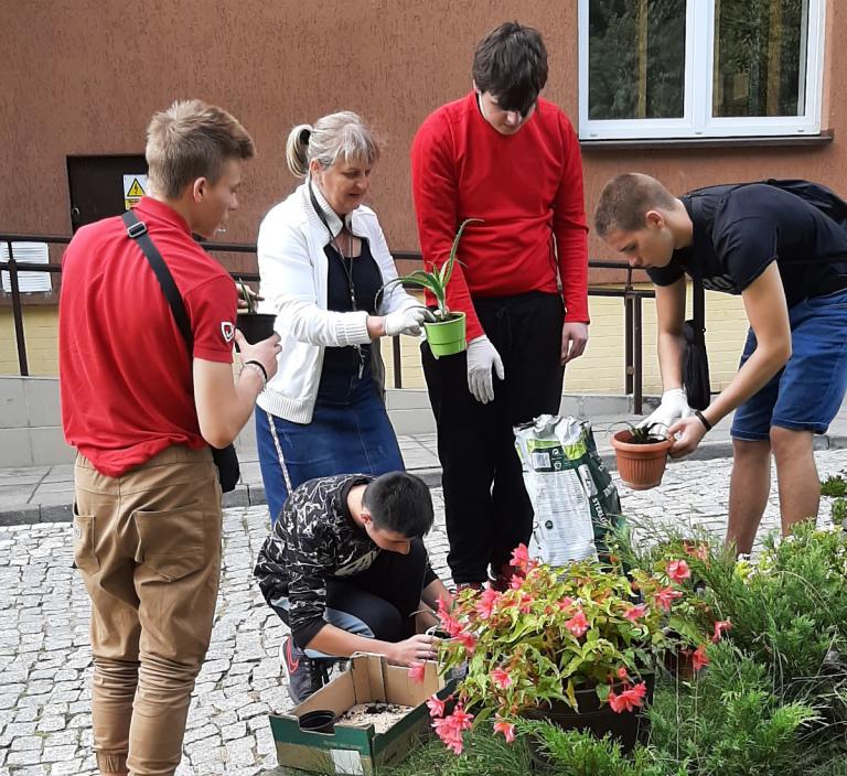 Wasilków: Na początek sadzimy kwiaty