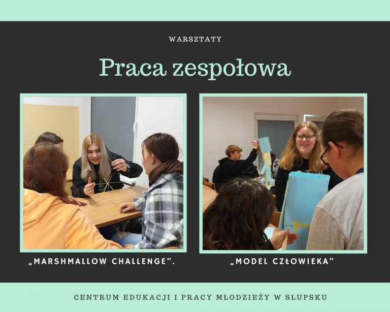 Warsztaty „Praca zespołowa - najbardziej pożądana kompetencja na rynku pracy”