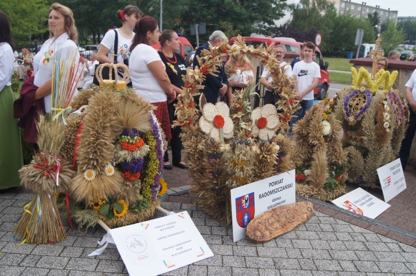 Zdjęcie nr 20