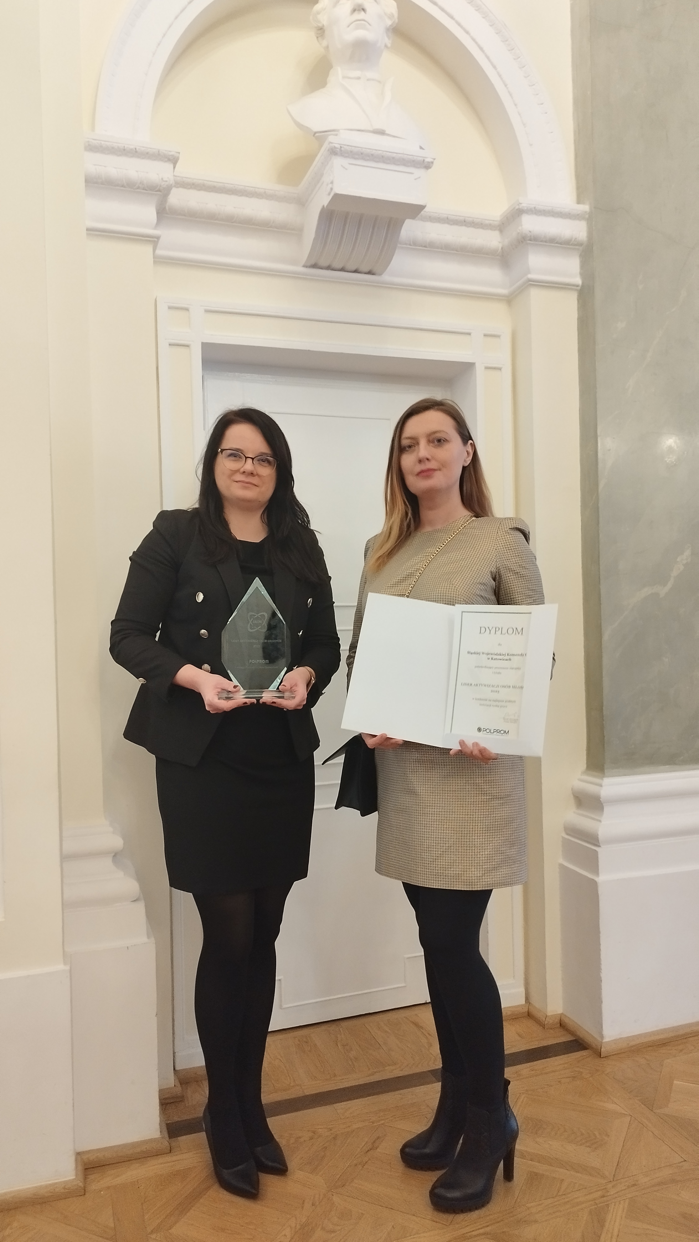 Lider aktywizacji osób młodych Katowice