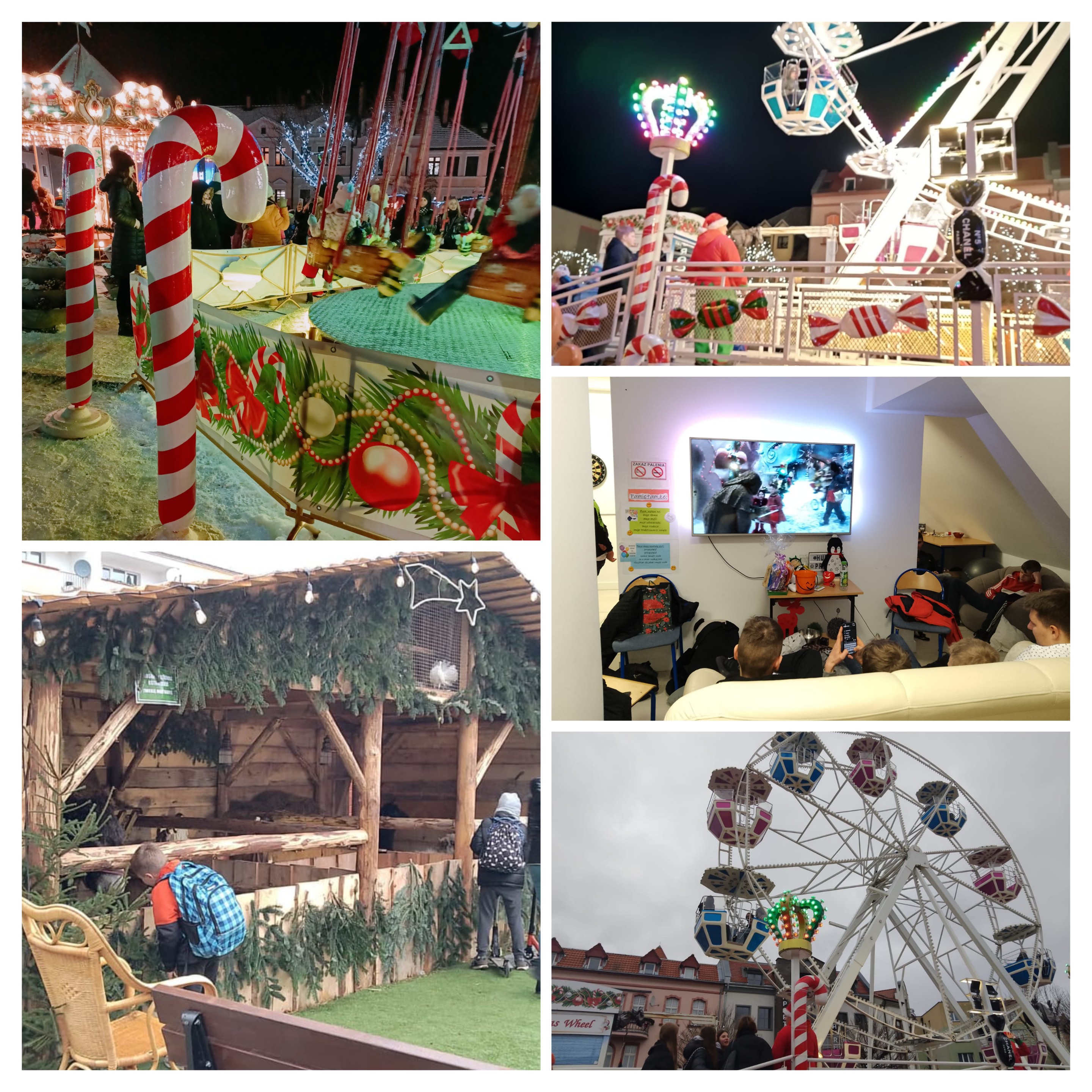 20241220_101931-COLLAGE.jpg