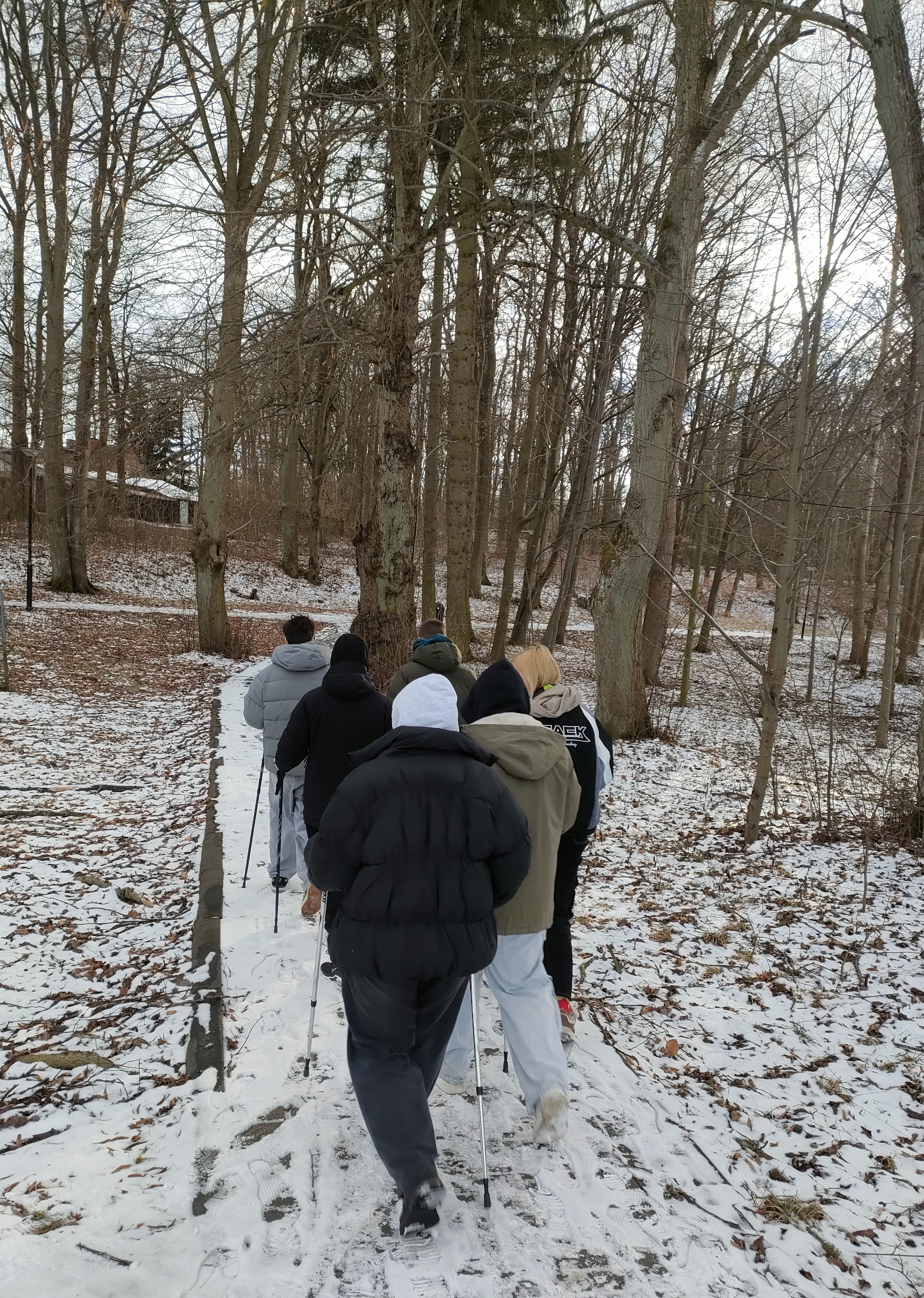 Kije_w_ruch-_Nordic_Walking_2.jpg