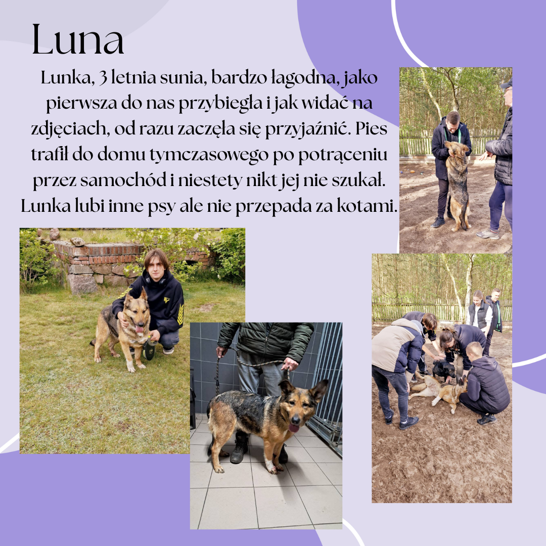 Luna_post.png