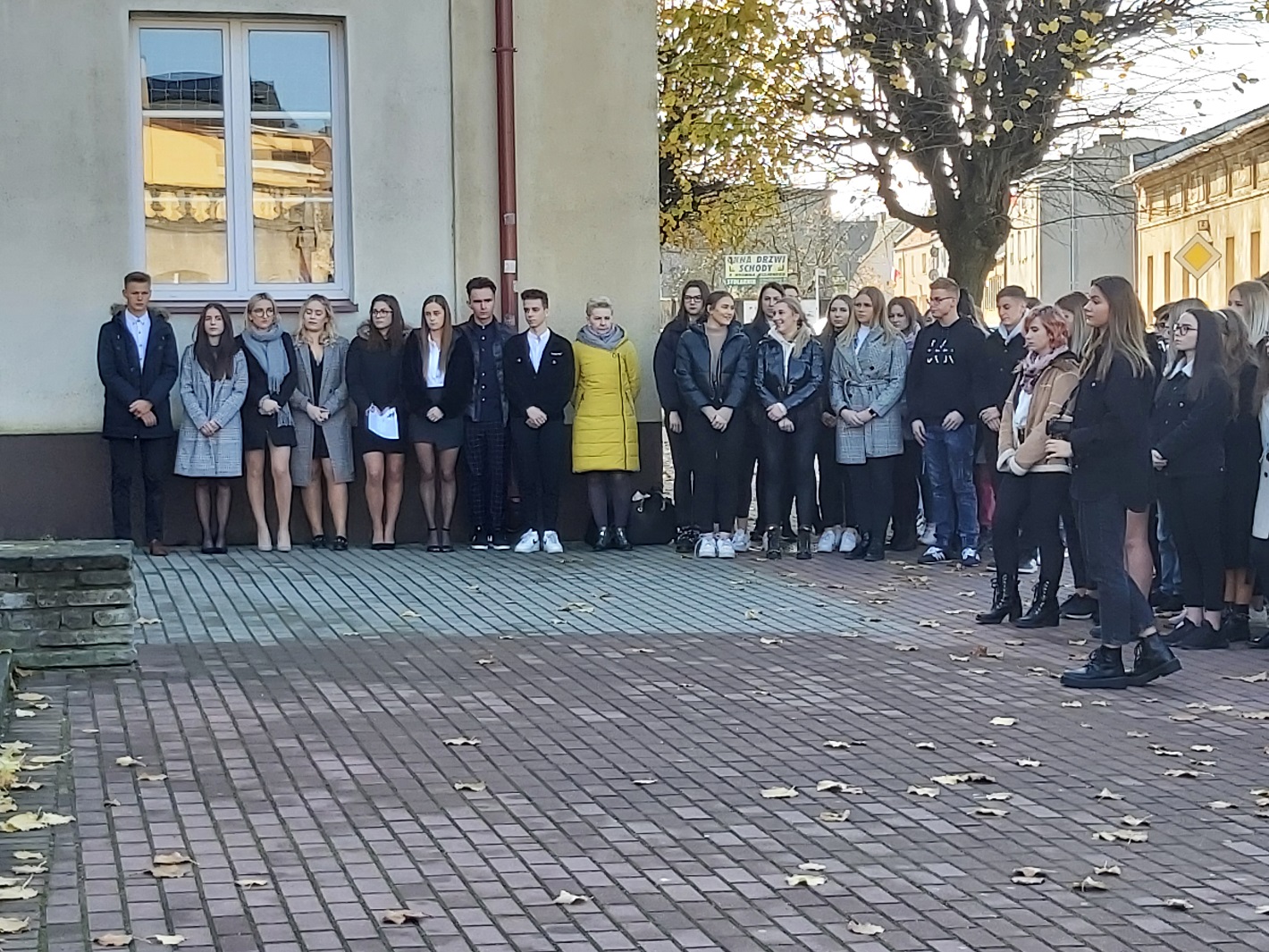 2021 11 NSNOS