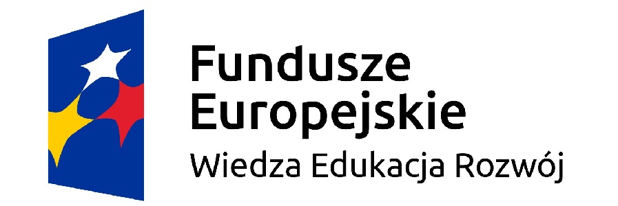 FE_POWER_poziom_pl