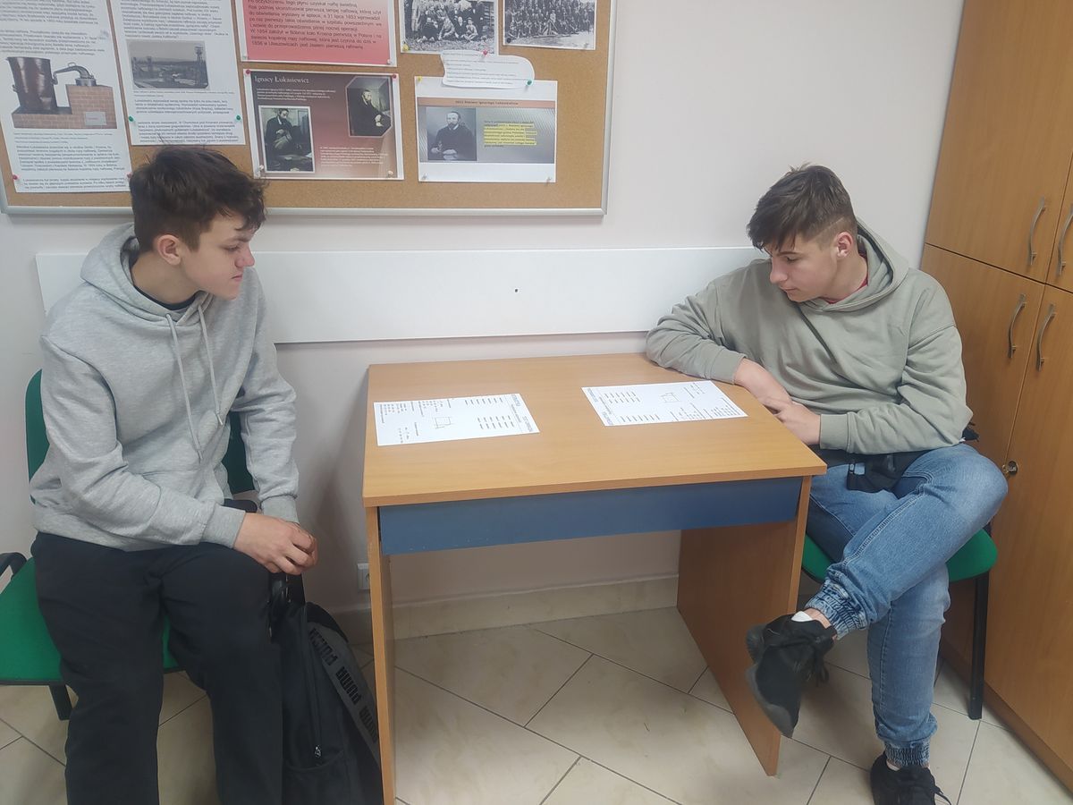 ZAJĘCIA WYRÓWNAWCZE JAKO KOLEŻEŃSKA POMOC W PRZEMYSKIM HUFCU PRACY1