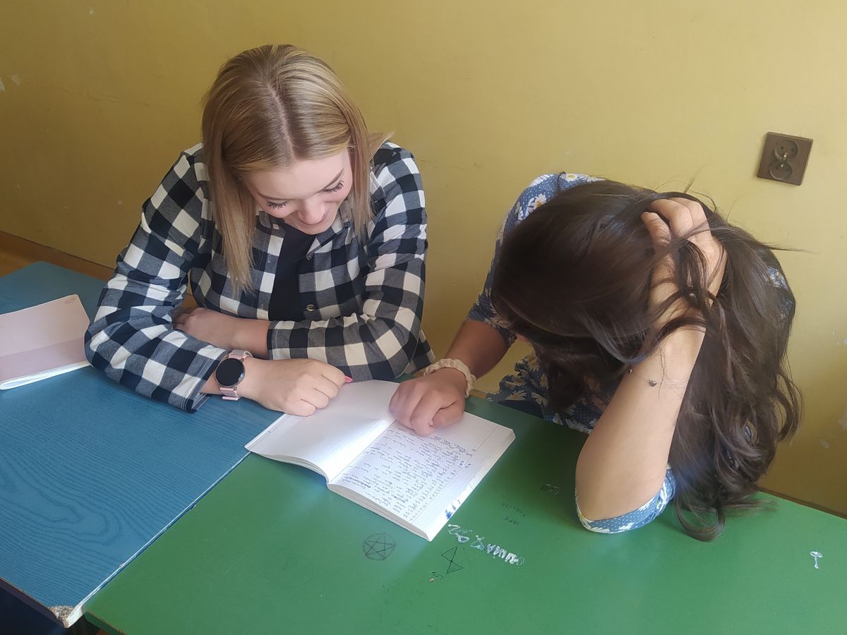 ZAJĘCIA WYRÓWNAWCZE JAKO KOLEŻEŃSKA POMOC W PRZEMYSKIM HUFCU PRACY2