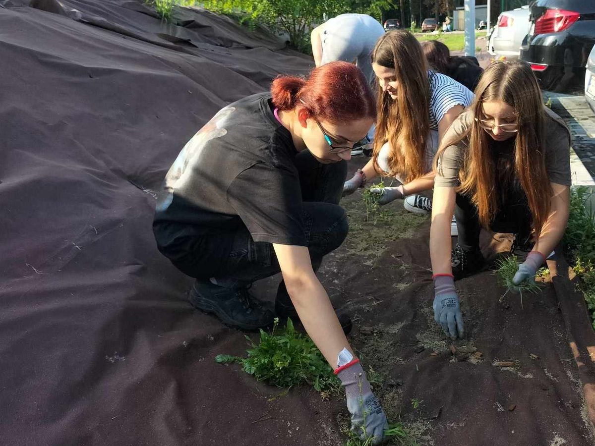 Bezinteresowna pomoc dębickiej młodzieży 2