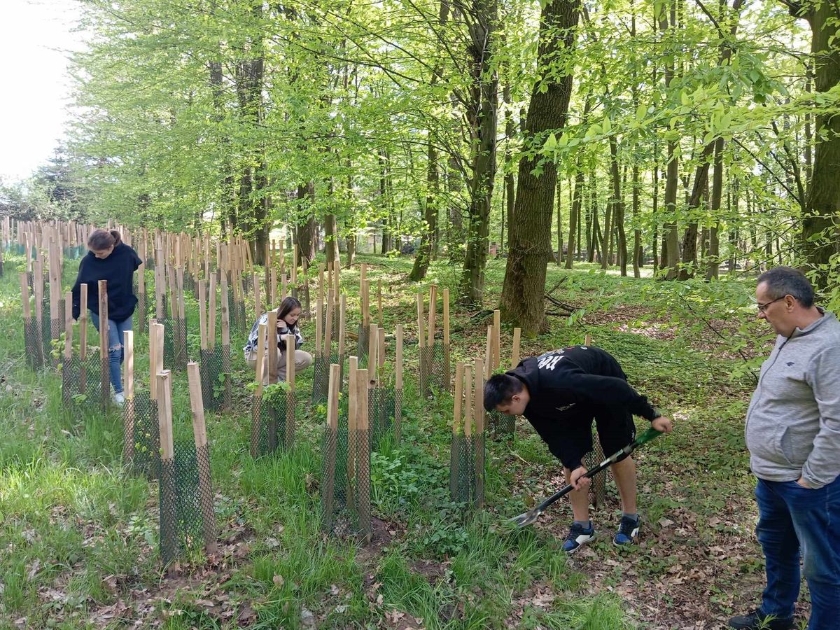 MIĘDZYNARODOWY DZIEŃ ZIEMI ORAZ OGÓLNOPOLSKA AKCJA SADZIMY W PRZEMYSKIM 9 13 HUFCU PRACY 3