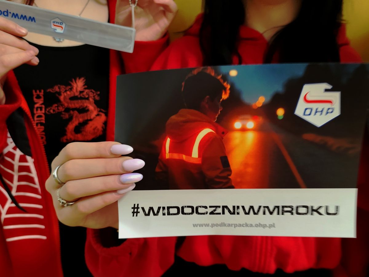 WIDOCZNIWMROKU BEZPIECZEŃSTWO NA DRODZE TO PODSTAWA 1